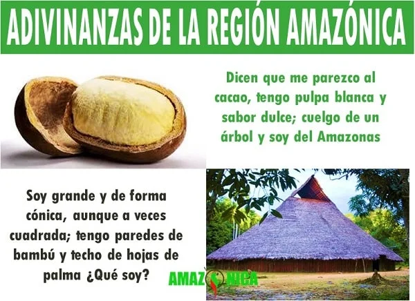 adivinanzas de la region amazonica
