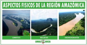 Aspecto fisico de la region amazonica - La Región Amazónica