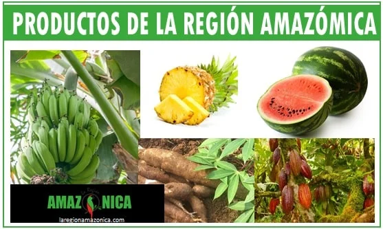 Productos agriolas de la region amazonica