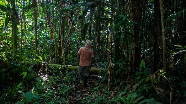 suelos de la amazonia colombiana